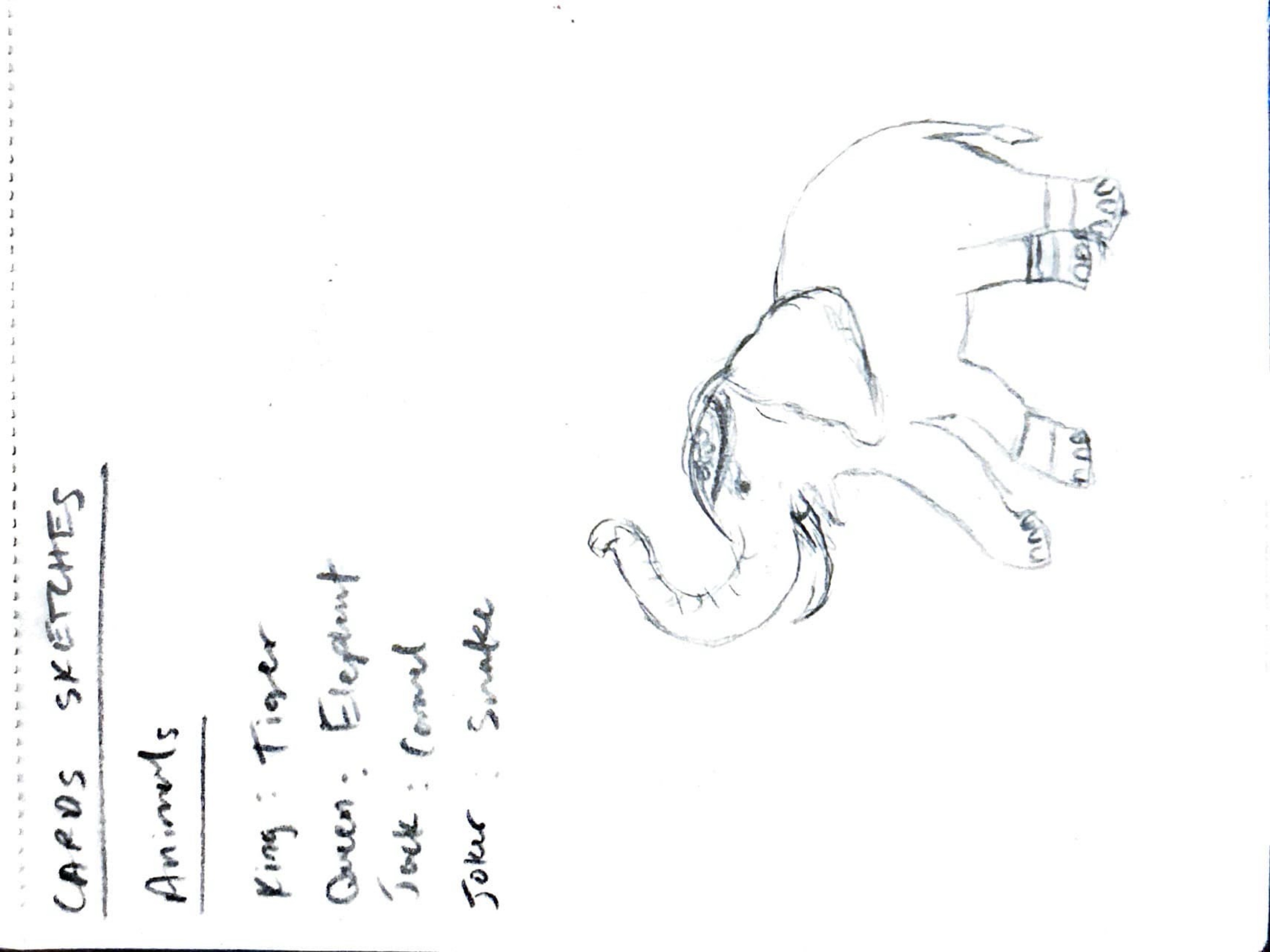 Initial elephant pencil sketch